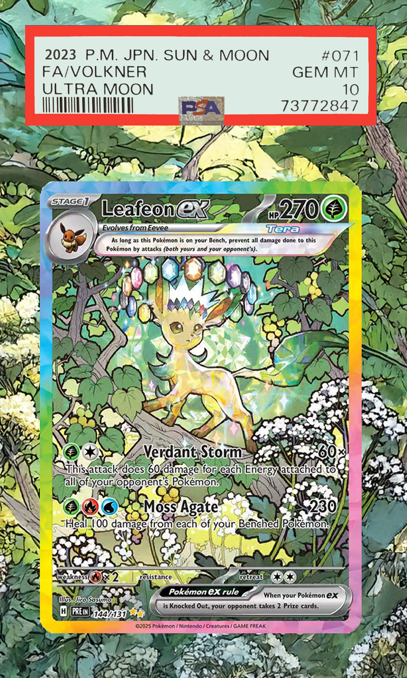 Cartões pokemon display ptcg l - Display Case Acrylic avaliação e preço