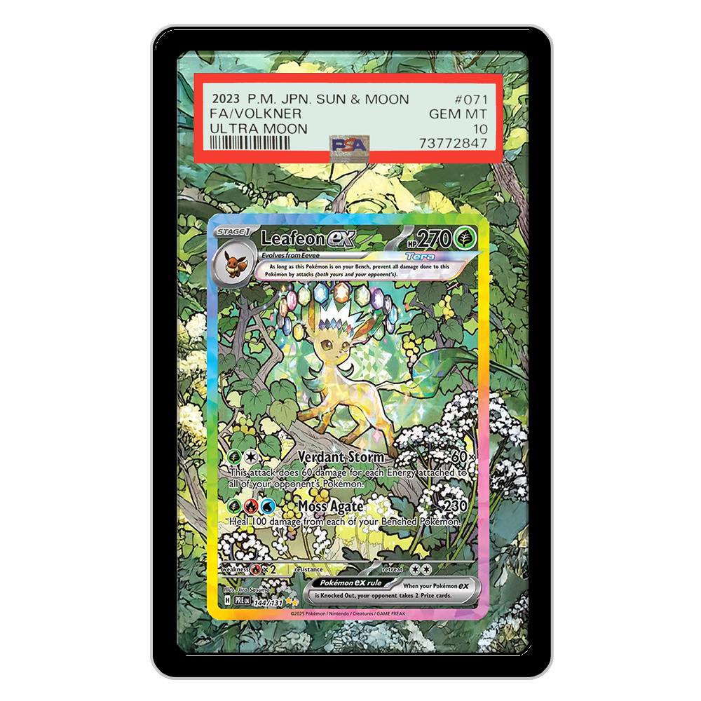 Cartões pokemon display ptcg l - Display Case Acrylic avaliação e preço