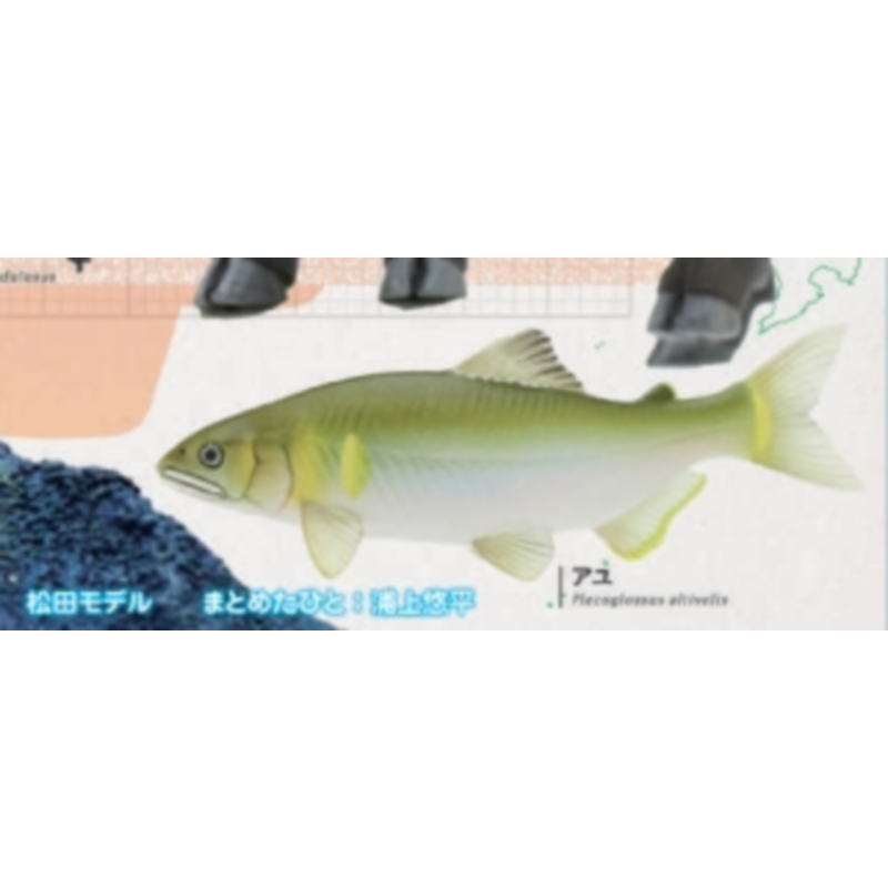 Japão Ikimon Gashapon Cápsula  - Capsule Toy Gashapon avaliação e preço