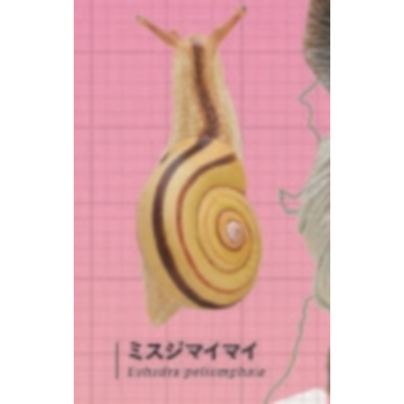 Japão Ikimon Gashapon Cápsula  - Capsule Toy Gashapon avaliação e preço